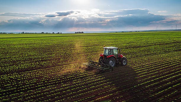 Campo agropecuario argentino